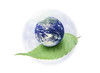 Image2 - 青い惑星と緑の葉