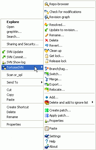 Context menu for a directory under version control